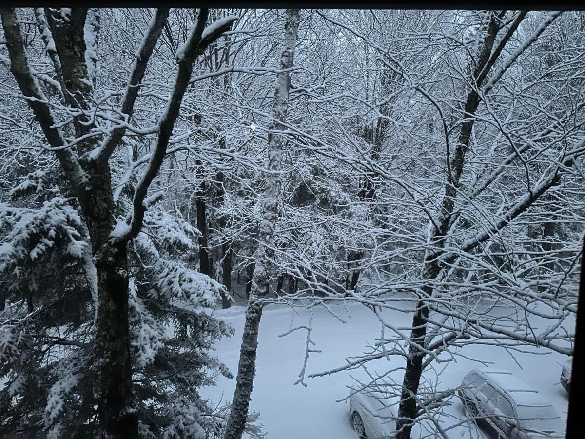 Vermont Getaway! Newly Renovated! Stratton Valley Экстерьер фото